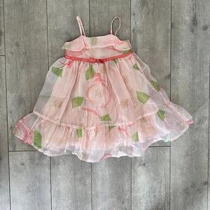 Baby GAP Pink Floral Chiffon Dress